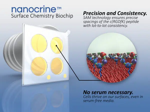 cRGD Surface Chemistry Biochips - Image 2