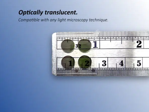 cRGD Surface Chemistry Biochips - Image 3